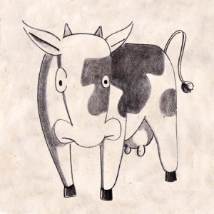 Illustration-Animal-Magic-Cow