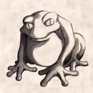 Illustration-Animal-Magic-Hypno-Frog