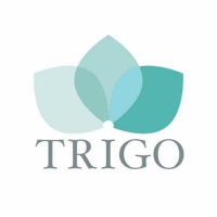 TriGo-Logo-06-e1713987961830