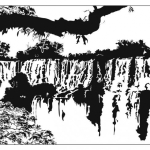 Chutes d\'eau d\'Iguazu vectorisées à la plume sur Illusrator 8