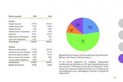 29-Rapport-dactivite-2014-CV-Joris29